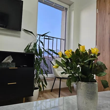 With Moutain View - Free Parking